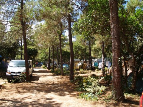 Camping Campo di Liccia - Camping Corse du sud - Image N°25