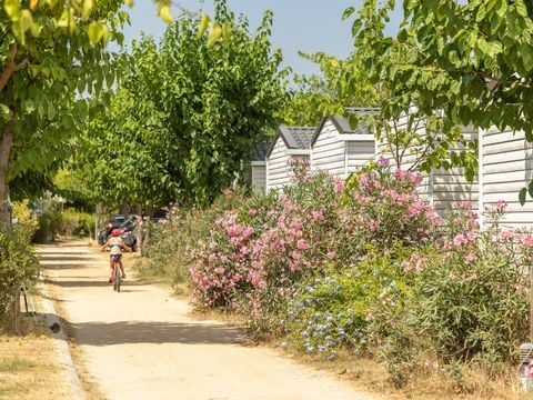 Alannia El Pinar - Camping Gérone - Image N°11
