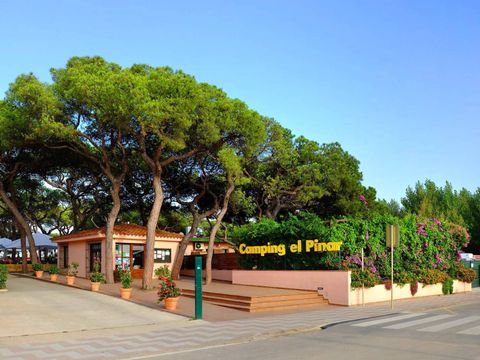Alannia El Pinar - Camping Gérone - Image N°12