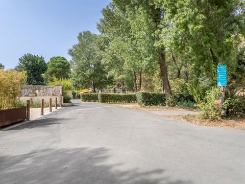 Camping Domaine de Gaujac - Camping Paradis - Camping Gard - Image N°18