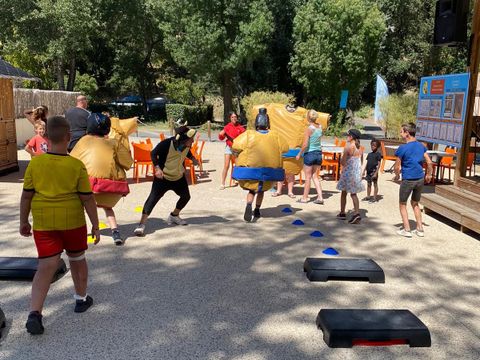 Camping Domaine de Gaujac - Camping Paradis - Camping Gard - Image N°14