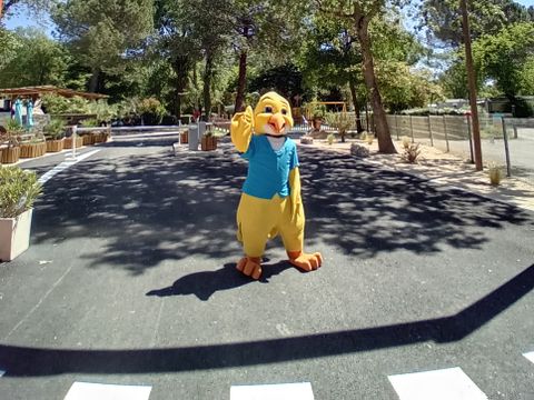 Camping Domaine de Gaujac - Camping Paradis - Camping Gard - Image N°32