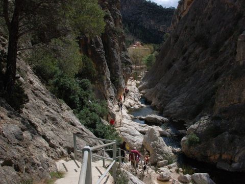 Camping Terra Alta - Camping Tarragone - Image N°15