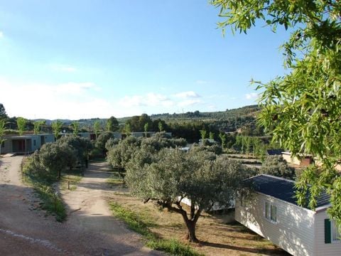 Camping Terra Alta - Camping Tarragone - Image N°2