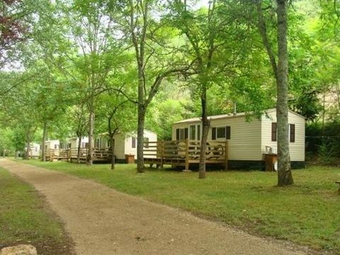 Camping le Moulin Vieux - Camping Lot - Image N°10
