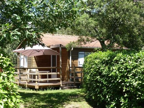 Chalet 2/6 personnes - Confort -35m² -2 chambres - Terrasse semi-couverte - TV - Clim