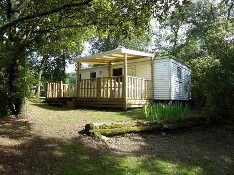 Mobilhome 4 personnes - Mobil-Home Confort -28m² -2 chambres - terrasse semi-couverte - TV - Clim 2/4 pers