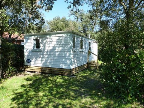 Mobilhome 4 personnes - 28 m² avec Jardin