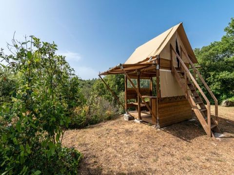 TENTE TOILE ET BOIS 2 personnes - Tente Bivouac Small sur pilotis Standard 1 chambre - en pleine nature (sans sanitaires) 1/2 pers