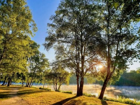 Camping Grand Etang de Saint-Estèphe - Camping Dordoña - Image N°2