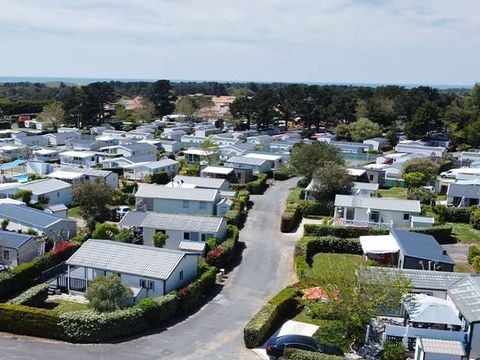 Camping du Domaine de l'Auzance - Camping Vendée - Image N°5