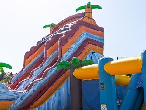 Camping du Domaine de l'Auzance - Camping Vendée - Image N°3