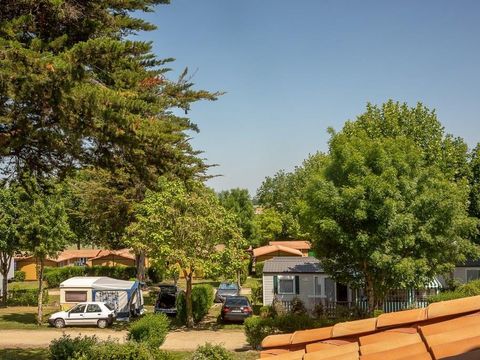 Camping Les Alouettes - Camping Vendée - Image N°41
