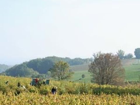 Flower Camping Le Soleil des Bastides - Camping Tarn - Image N°38