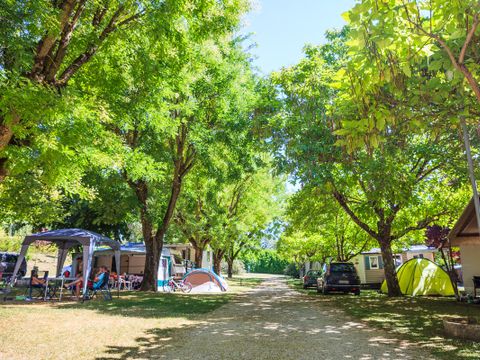 Flower Camping Le Soleil des Bastides - Camping Tarn - Image N°15