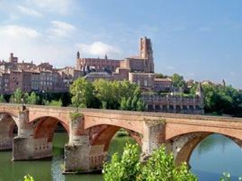 Flower Camping Le Soleil des Bastides - Camping Tarn - Image N°32