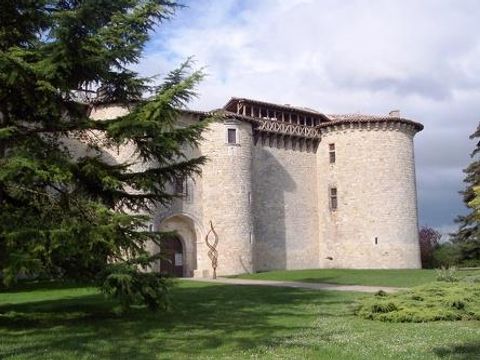 Flower Camping Le Soleil des Bastides - Camping Tarn - Image N°41