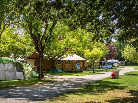 Flower Camping Le Soleil des Bastides - Camping Tarn - Image N°17