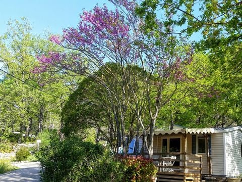 MOBILHOME 4 personnes - CHAUMIERE PMR 2 chambres climatisé