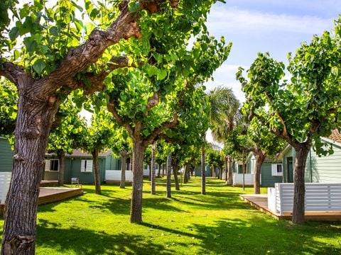 BUNGALOW 5 personnes - Mestral