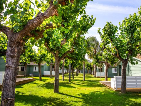 BUNGALOW 5 personnes - Mestral