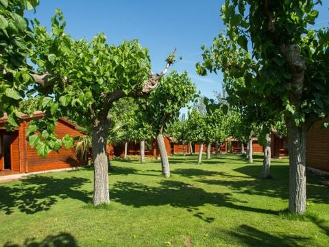 Camping La Llosa   - Camping Tarragone - Image N°56