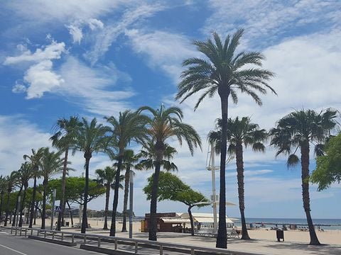 Camping La Llosa   - Camping Tarragone - Image N°50