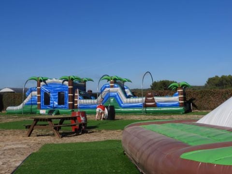 Camping Mer et Camargue - Camping Gard - Image N°21