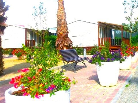 MOBILHOME 6 personnes - PALMERES 6 pers