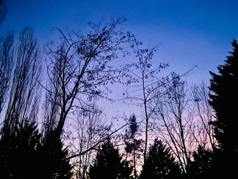 Flower Camping la Pibola - Camping Ariège - Image N°11