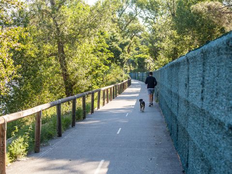 Camping La Marina de Canet - Camping Pyrénées-Orientales - Image N°27