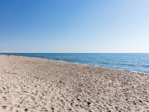 Camping La Marina de Canet - Camping Pyrénées-Orientales - Image N°17
