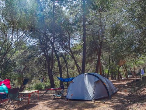 Camping Torraccia - Camping Corse du Sud - Image N°31