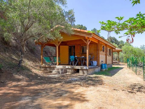 Camping Torraccia - Camping Corse du Sud - Image N°12