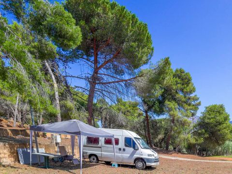 Camping Torraccia - Camping Corse du Sud - Image N°17