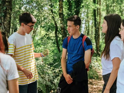 Camping Domaine de Kervallon - Camping Morbihan - Image N°27