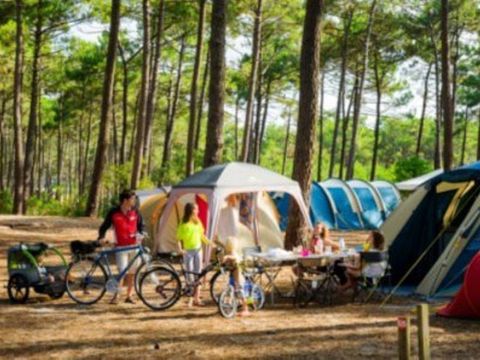Camping de la Dune Bleue - Camping Gironde - Image N°21