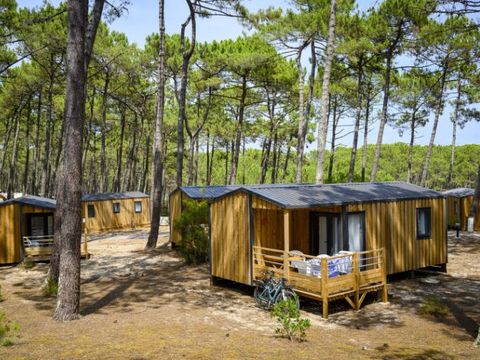 MOBILHOME 6 personnes - COTTAGE PREMIUM - Les Pins | 6 pers.