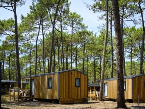 MOBILHOME 6 personnes - COTTAGE PREMIUM - Les Pins | 6 pers.