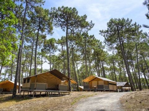 TENTE TOILE ET BOIS 5 personnes - Lodge Victoria 5 personnes – Toile & Bois – 30 m² – 2 chambres