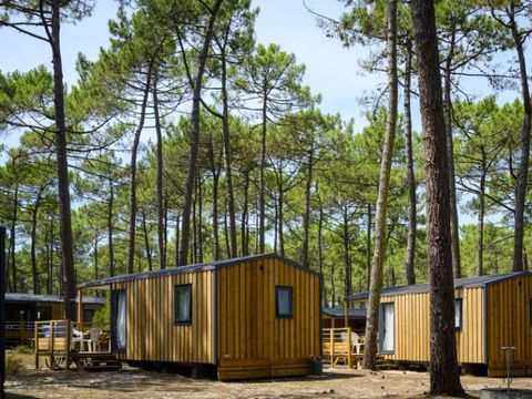 MOBILHOME 4 personnes - COTTAGE PREMIUM 4 personnes  2  Chambres