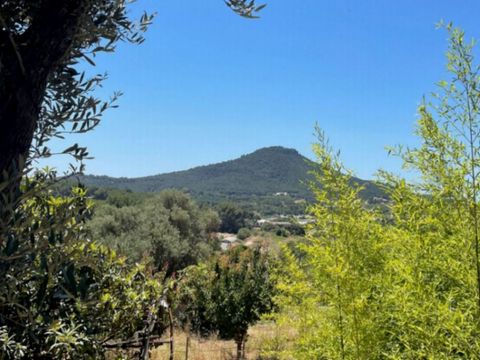 MOBILHOME 5 personnes - NEW 2023 ! Cottage MAGNOLIA + jacuzzi 32m² (2 chambres)