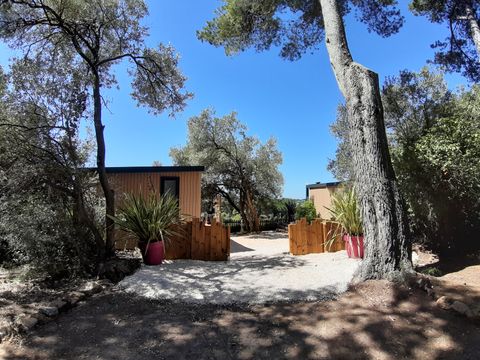 MOBILHOME 2 personnes - Cottage JASMIN + jacuzzi 21m² (1 chambre)