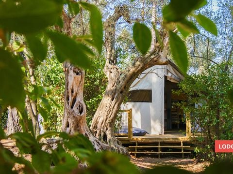 LODGE 5 personnes - Lodge CANNELLE 21m² (2 chambres)