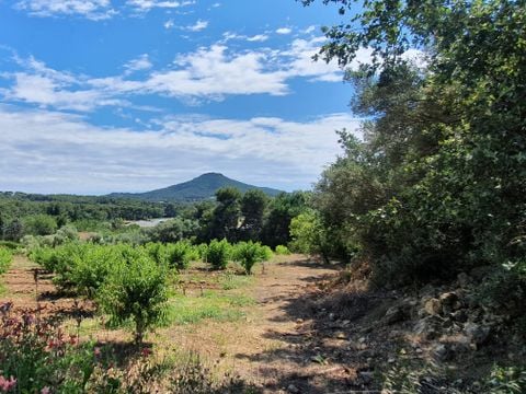 MOBILHOME 8 personnes - Cottage FAMILY 63m² (3 chambres)