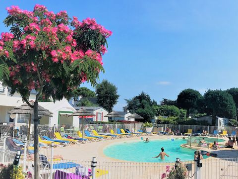 Camping de Kerabus - Camping Morbihan - Image N°7