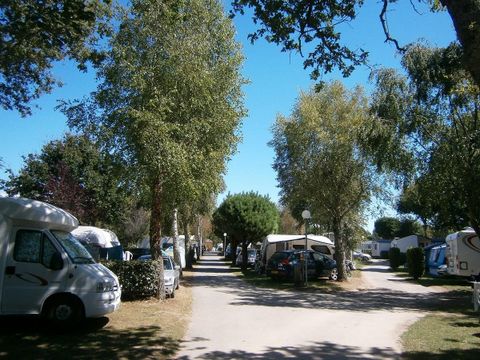 Camping de Kerabus - Camping Morbihan - Image N°31