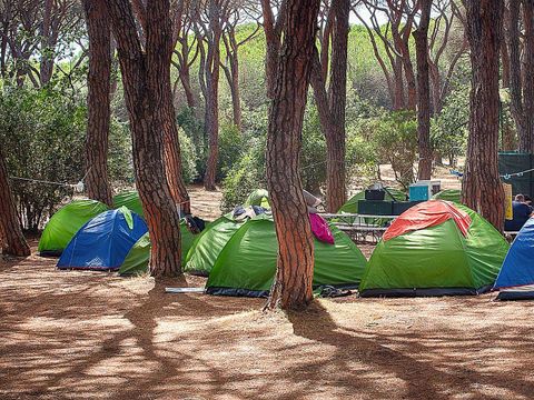 Gitavillage Le Marze - Camping Grosseto