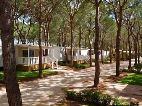 Lodge 4 personnes - Comfort Maremma