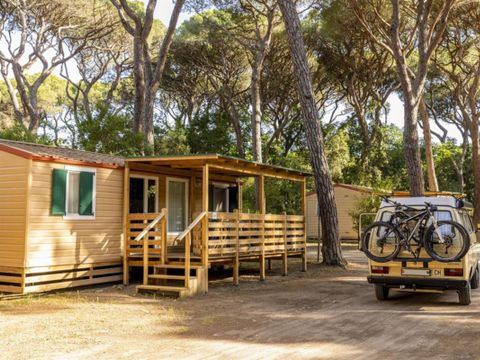 LODGE 4 personnes - Lodge Confort Maremma